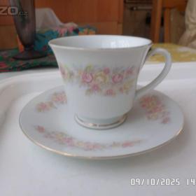 Foto inzerátu Starý porcelán za babku