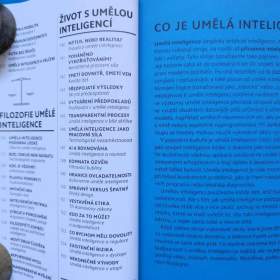 Foto inzerátu Umělá inteligence co je, jak funguje, učí se, co poskytuje