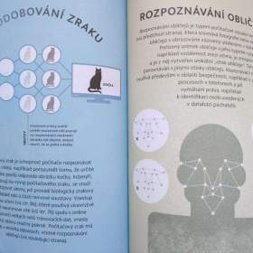 Foto inzerátu Umělá inteligence co je, jak funguje, učí se, co poskytuje