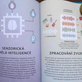 Foto inzerátu Umělá inteligence co je, jak funguje, učí se, co poskytuje