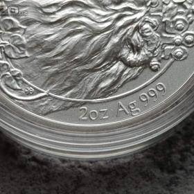 Foto inzerátu Stříbrná mince Český lev 2021 2 oz Ag 999 | Doprava zdarma 
