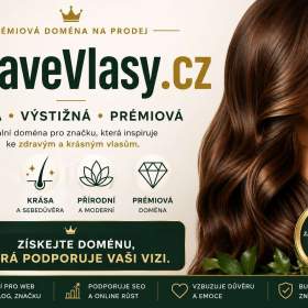 Foto inzerátu ZdraveVlasy.cz – prémiová česká doména pro vlasovou kosmetiku, kliniky a beauty projekty