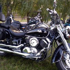 Yamaha V star 1100 / 19829724