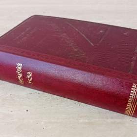 Kuchařská kniha z roku 1921, Spolek Domácnost, krásný stav / 19842788