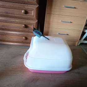 Fotka k inzerátu Prodám  / 19963624