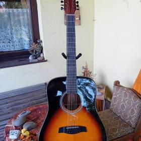 12- ti strunná elektroakustická kytara Fesley / 19863269