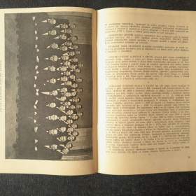 Foto inzerátu Divadelní a hudební profil Ostravska - Vymětal 1961, brožura