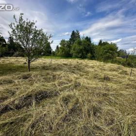 Foto inzerátu Luční seno, čerstvé, ručně sušené a vonící - červen 2026 -