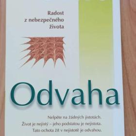 Odvaha / 19889579