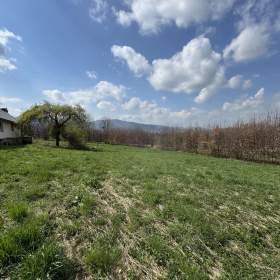 Foto inzerátu Prodej, prodej na splátky RD Malenovice, pozemek 5.697m2