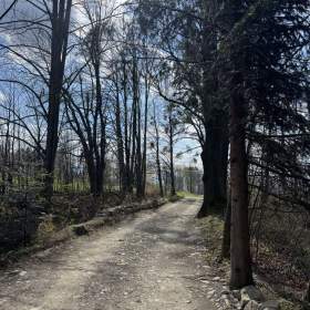 Foto inzerátu Prodej, prodej na splátky RD Malenovice, pozemek 5.697m2