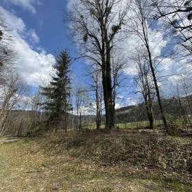 Foto inzerátu Prodej, prodej na splátky RD Malenovice, pozemek 5.697m2
