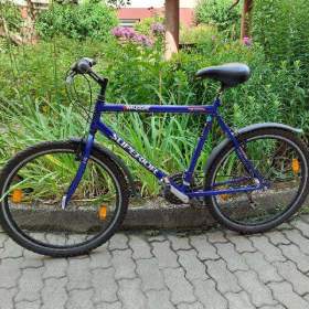 Fotka k inzerátu Prodám horské kolo / 18245003