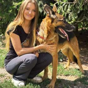 Foto inzerátu MAX - Ovčák - kastrovaný psík 7 let