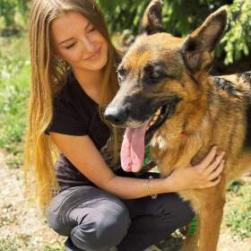 Foto inzerátu MAX - Ovčák - kastrovaný psík 7 let