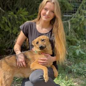 ABBYNKA -  do 15 kg, kastrovaná fenečka 1 rok  / 19940939