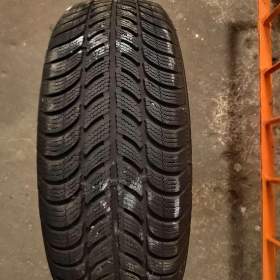 Zimní guma Sava 195/65 R15 / 19946231
