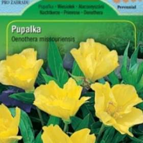 Pupalka missourská, žlutá (semena) levna- semena. cz / 19946316