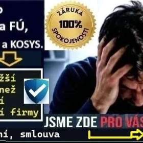 Účetní služby pro firmy, neziskovky a OSVČ z ÚL, DC a TP / 19946709