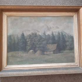 Obraz krajina, hory / 19946772