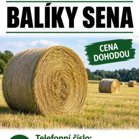 Prodám seno včetně dopravy / 19948775