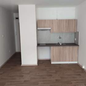 Nabízím k pronájmu byt 1+kk Moravská Ostrava / 19950178