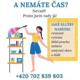 Nabízím úklid bytu/domu v Ostravě a okolí / 19950316