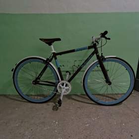kolo tetro / 19950689