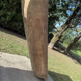 Foto inzerátu Masivní koryto 