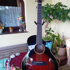 12- ti strunná elektroakustická folková kytara / 19953032