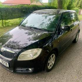 škoda fabia 1.4 16V 2009,177tkm / 19954476