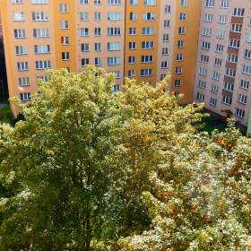 Foto inzerátu Prodám byt 2+1, os,vl., Ostrava-Moravská Ostrava -REZERVACE