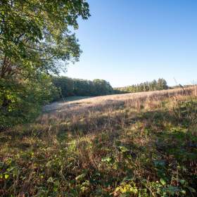 Prodej přírodního pozemku 8 384 m² -  Vysoká u Jevíčka / 19960257