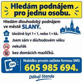 Hledám dlouhodobý podnájem ve městě Slaný.  / 19960799