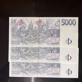 Foto inzerátu Bankovka 5000 Kč s přítiskem ČNB série L,R,X,V,S,Y