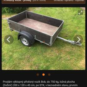 Fotka k inzerátu Přívěsný vozík za auto  / 18597695