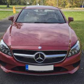 Mercedes Benz CLS 250d 4matic / 19962402