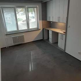 Fotka k inzerátu Pronajmu 1+kk / 19962424