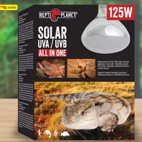 Foto inzerátu Terárium Repti Planet skl 50,5x30,5x25cm (starovací sada)