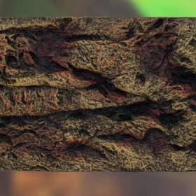 Foto inzerátu Terárium Repti Planet skl 50,5x30,5x25cm (starovací sada)