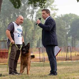 Foto inzerátu Německý ovčák - štěňátka s PP