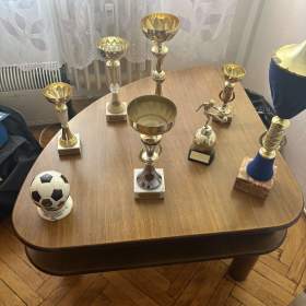 Foto inzerátu Sbirka trofeji