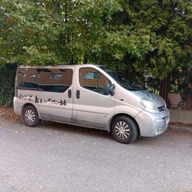 Fotka k inzerátu Opel vivaro  / 19895613
