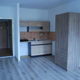 Fotka k inzerátu Pronájem bytu 1+kk, 28 m2, Čujkovova, Ostrava – Jih / 19964215