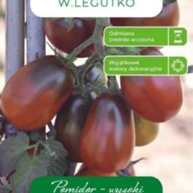 Foto inzerátu Rajče tyčkové Black Plum (semena) levna-semena.cz