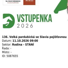Foto inzerátu Rodinné vstupné na Velkou Pardubickou