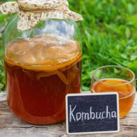 Fotka k inzerátu Vyměním velkou 10 cm Kombuchu (Scooby) i s nálevem 200 ml. / 18157318