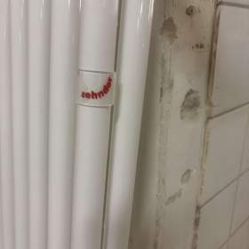Foto inzerátu Zehnder