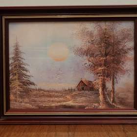 Foto inzerátu Prodám obrázek