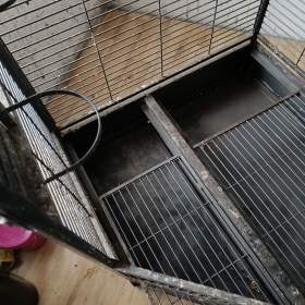 Foto inzerátu Rohová Klec pro velkého papouška